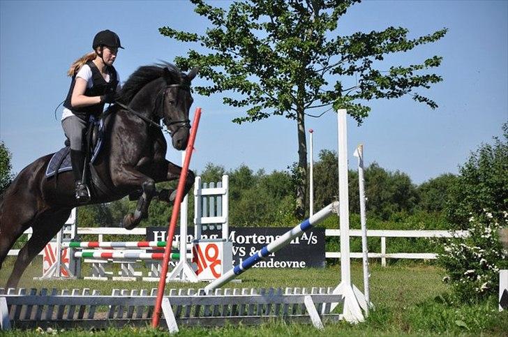 Anden særlig race SCIROCCO | SOLGT - Springer stor vand for første gang. billede 8