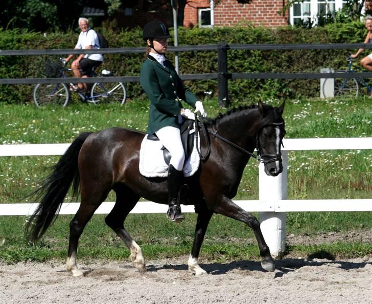 DSP Welvet af kongshøj <3 billede 18