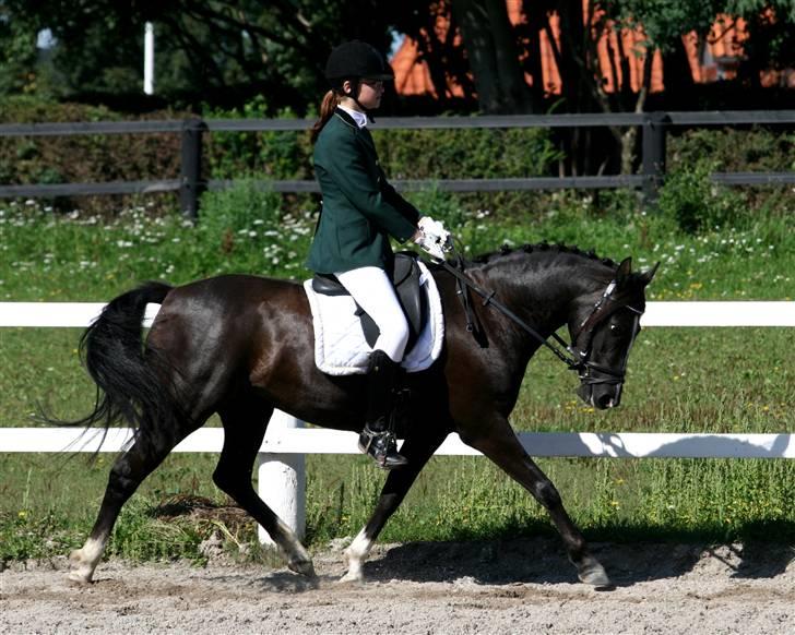 DSP Welvet af kongshøj <3 billede 5