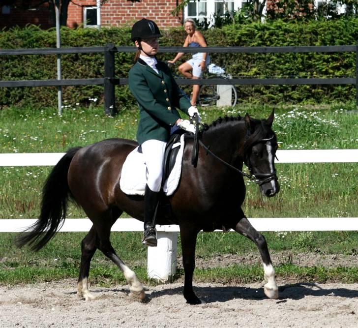 DSP Welvet af kongshøj <3 billede 1