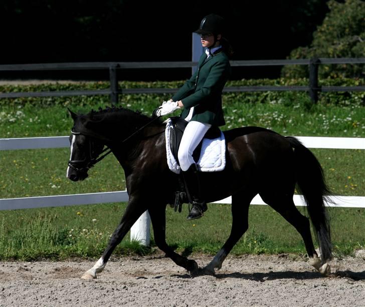 DSP Welvet af kongshøj <3 billede 19