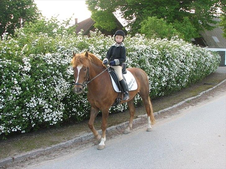 New Forest Odbjergs Easter Fun billede 6