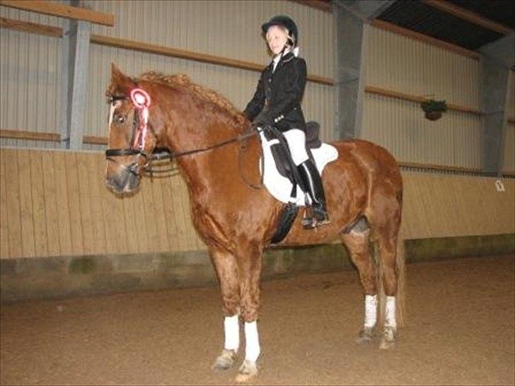 New Forest Odbjergs Easter Fun billede 11