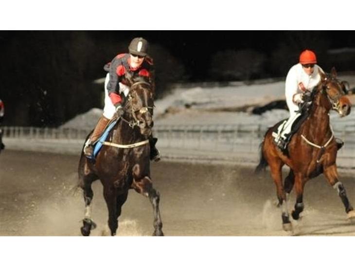 {{currentPhoto.altText}} billede {{currentPhoto.number}}