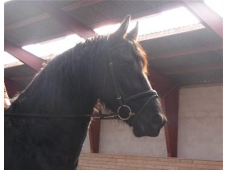 {{currentPhoto.altText}} billede {{currentPhoto.number}}