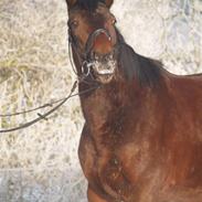 Oldenborg skipper af nøjsomhedsmind