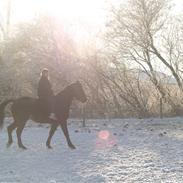 Oldenborg skipper af nøjsomhedsmind