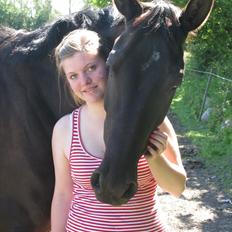 Trakehner Fariy's Nice Surprice † R.I.P †