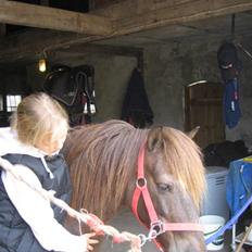 Anden særlig race Ferrari