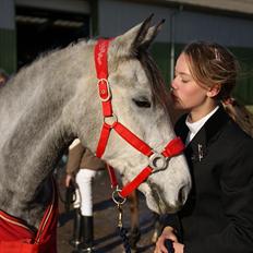 Anden særlig race Gipsy