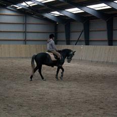 Anden særlig race Labri <3