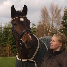 Dansk Varmblod Nørremøllehøj´s Luna (Solgt til norge)
