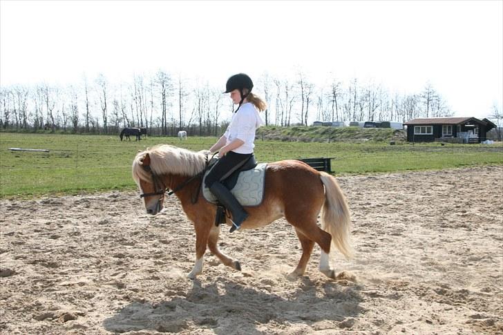 Anden særlig race Fie Gamle part:´) billede 5