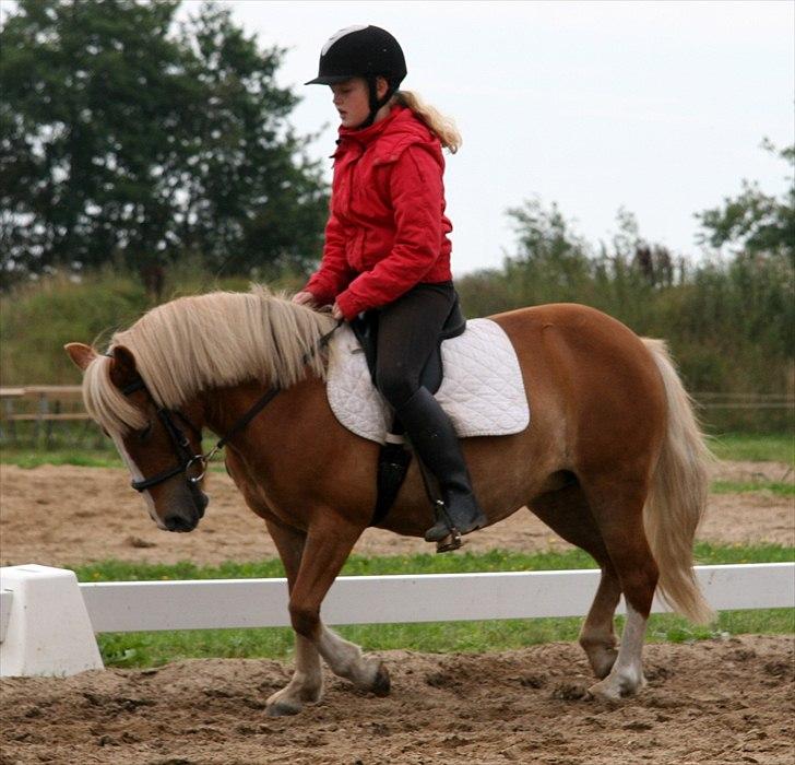 Anden særlig race Fie Gamle part:´) billede 6