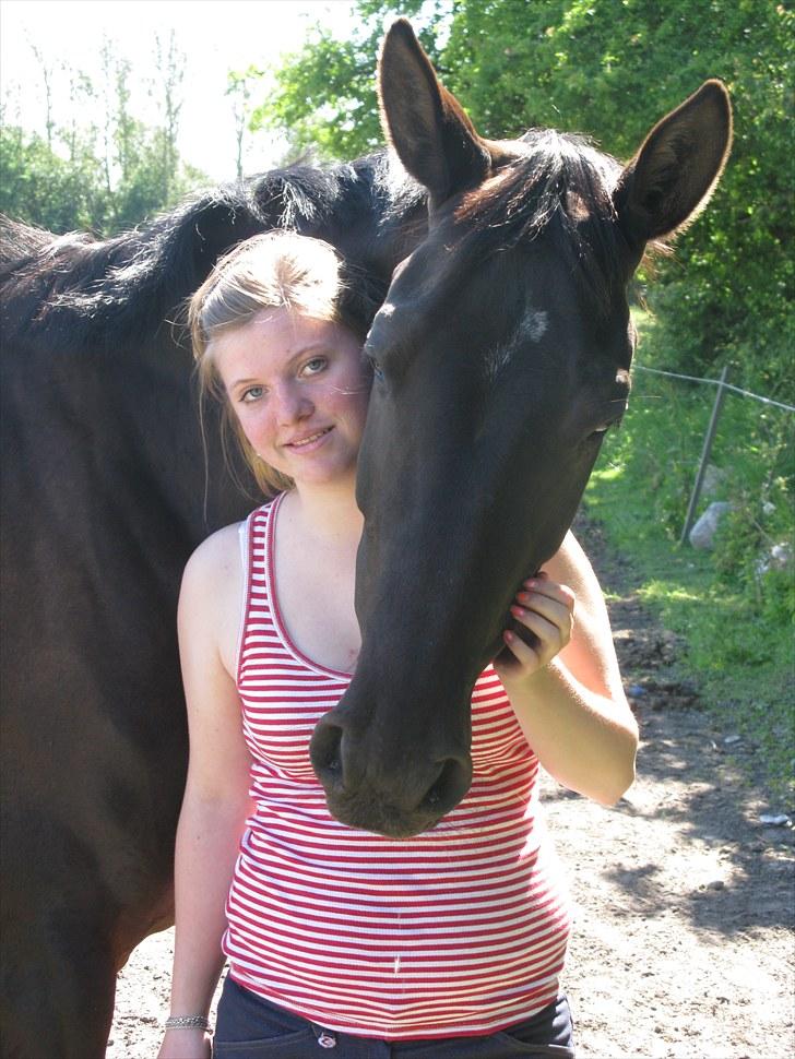 Trakehner Fariy's Nice Surprice † R.I.P † - dejlig sommer dag :) billede 2