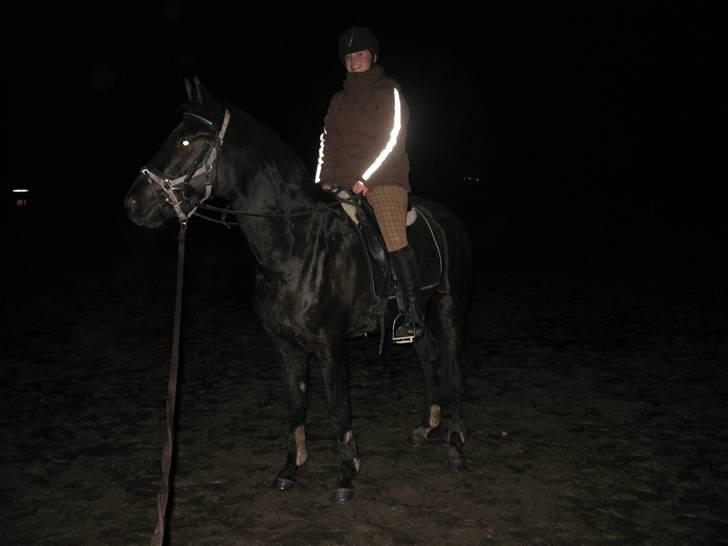 Trakehner Fariy's Nice Surprice † R.I.P † - Ca. 2 gang oppe på hende og skulle da lige have billeder af det billede 5