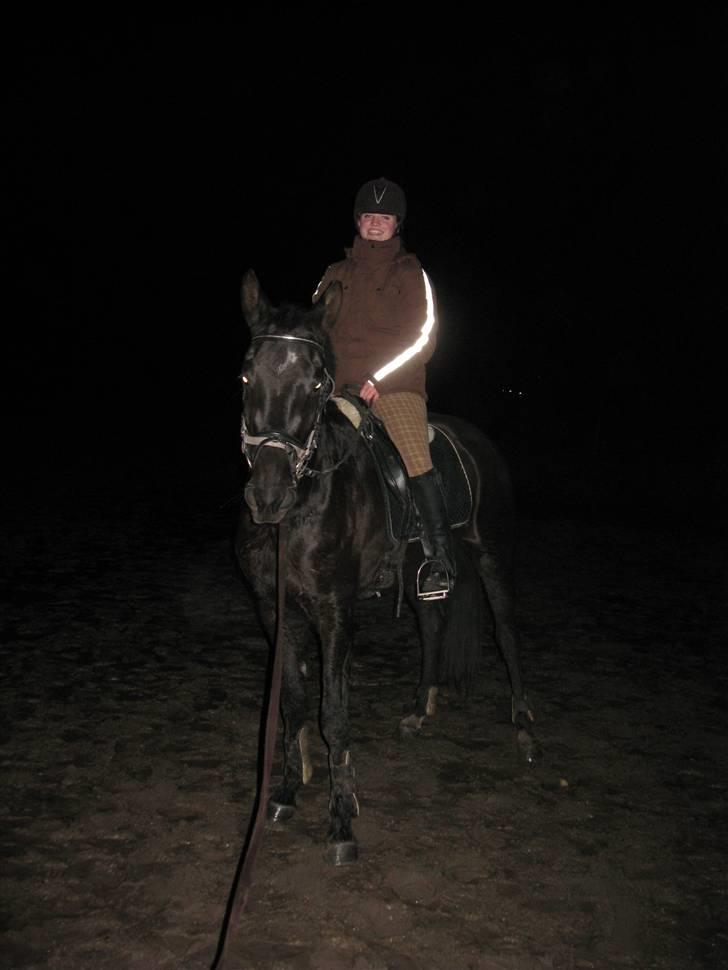 Trakehner Fariy's Nice Surprice † R.I.P † - Ca. 2 gang oppe på hende og skulle da lige have billeder af det billede 7