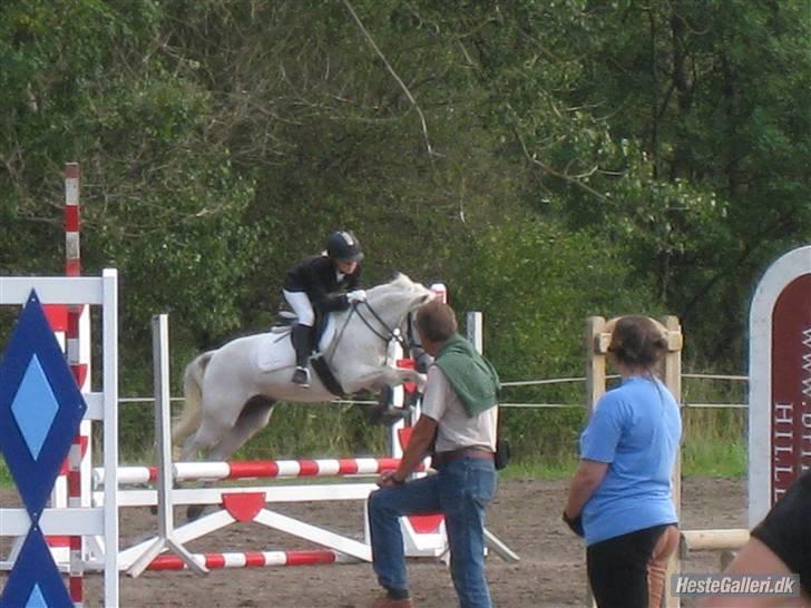 Welsh Pony af Cob-type (sec C) Little Ghost *x-part* <3 - Undskyld man ikke kan se hans hoved, men Tinke´s far står i vejen! xD billede 16