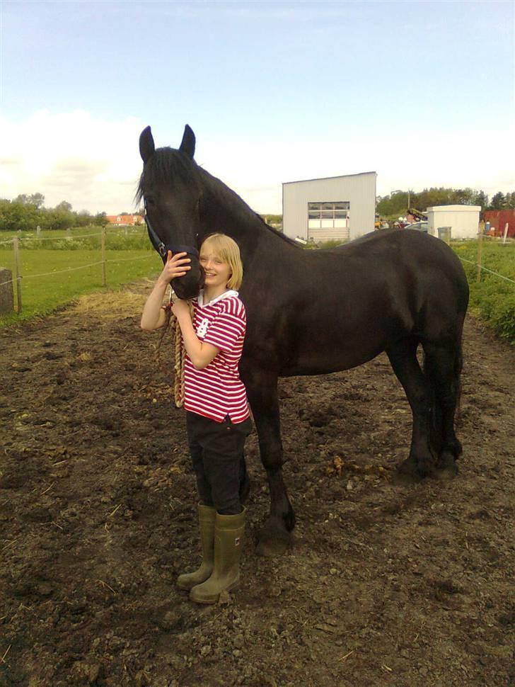 Frieser Renske Gepke. billede 15