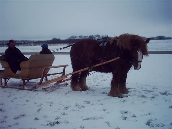 Jyde Knold - For kanen som netop er lavet klar 31/1-10 billede 14