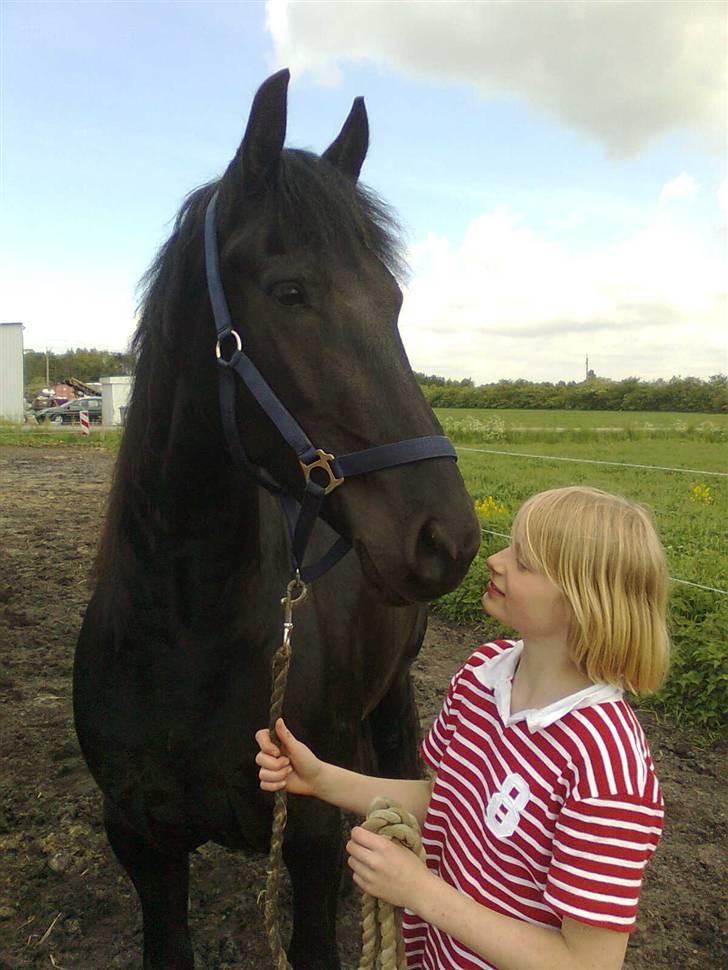 Frieser Renske Gepke. billede 16