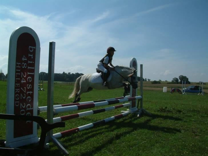 Welsh Pony (sec B) Søborggårds Silver *x-part* <3 - Se lige en god springer! xD <3 Military-stævne på SØG xD billede 15