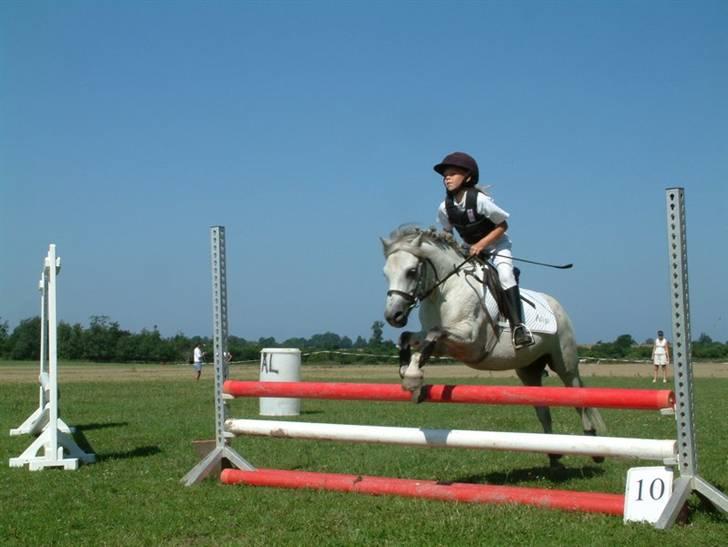 Welsh Pony (sec B) Søborggårds Silver *x-part* <3 - Military-stævne på SØG! <3 billede 16