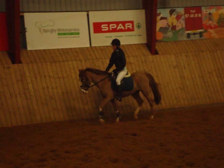 Anden særlig race Prettyboy Findus (LÅNTE)  - dreesur undervisning, taget af : Malene dam ;i billede 12