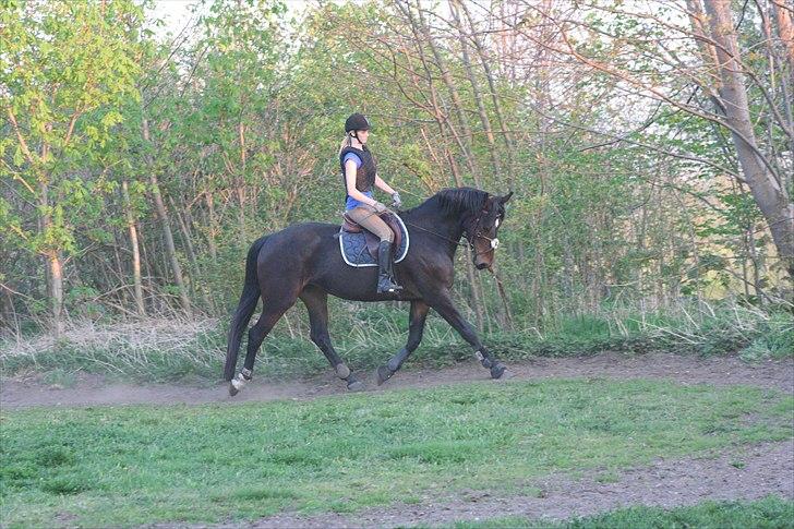 Anden særlig race Kronborgs Athene - hun er og blir skøn! <3 :) billede 9