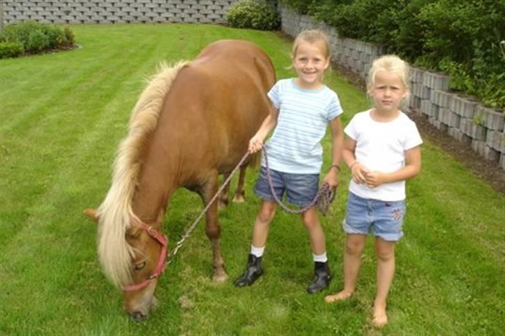 Shetlænder Musse - Mig og bette søster sammen med musse<33 billede 16