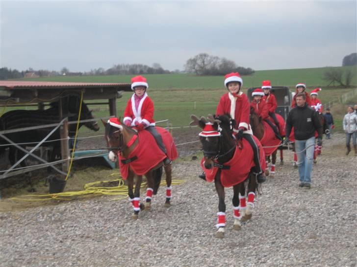 Welsh Pony (sec B) Monique  - Lærke, Cille og Sidse på vej i Juleoptog 2009 billede 18