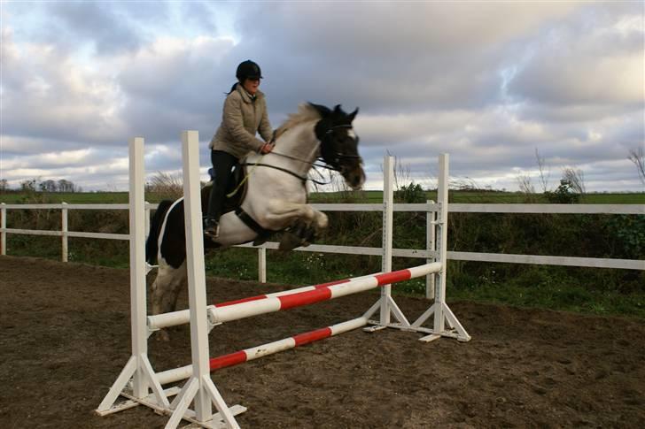 Pinto Solvangens Thais'son - haha den store spring rytter bliver jeg sq nok aldrig, men sjovt er det da:D dec. 2009 billede 8