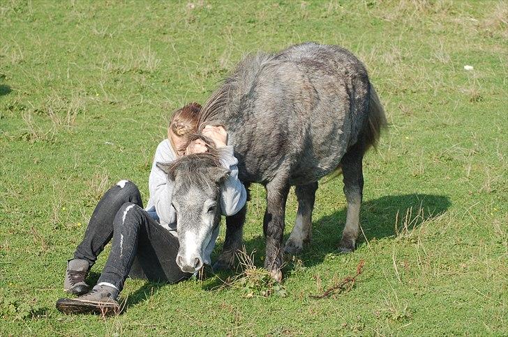 Miniature Unieke Whitey - 8] Der er intet som at kramme en man elsker højt. billede 8