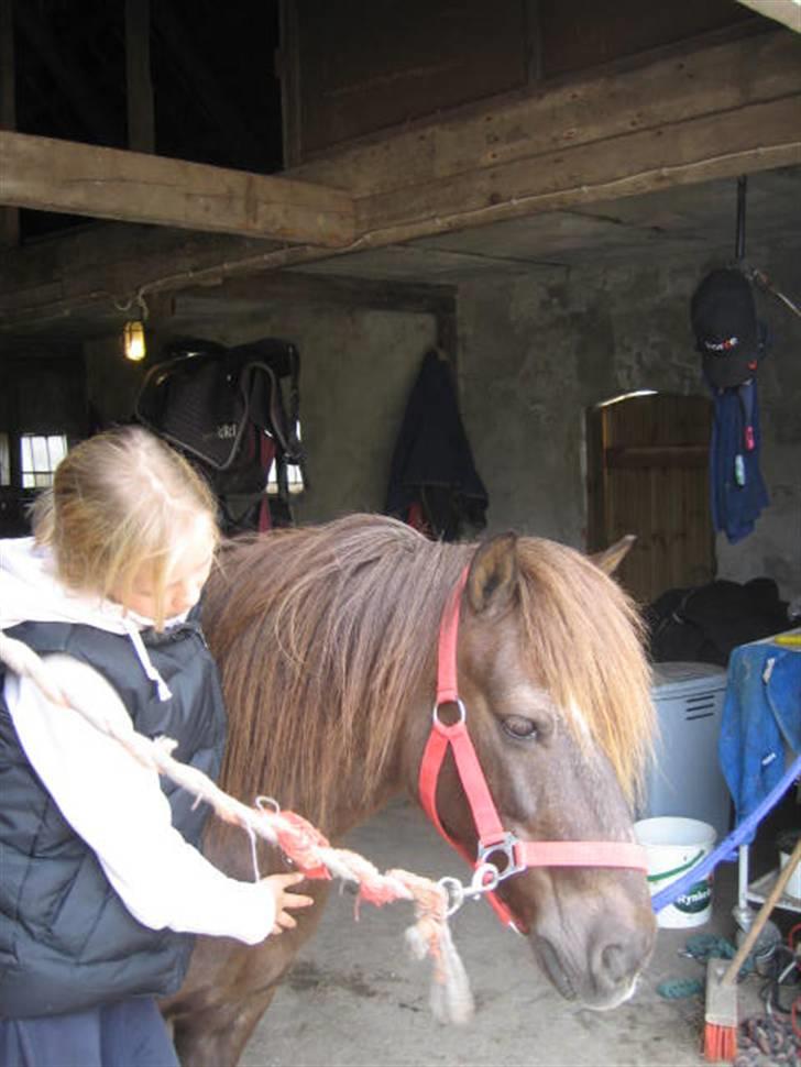 Anden særlig race Ferrari - Ferrari slapper lidt af (: billede 2