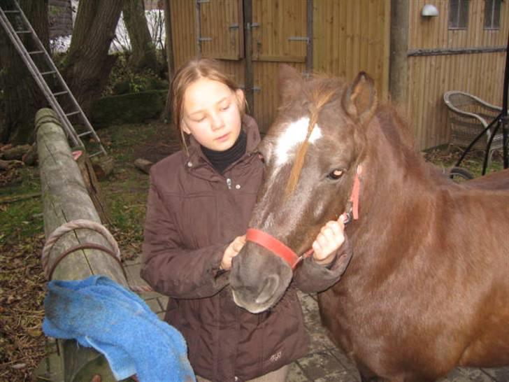 Anden særlig race Ferrari - Ferrari og jeg (: <3 billede 6