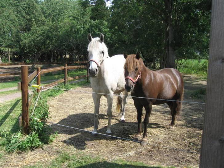 Anden særlig race Ferrari - Ferrari og Chapplin på fold (: <3 billede 8