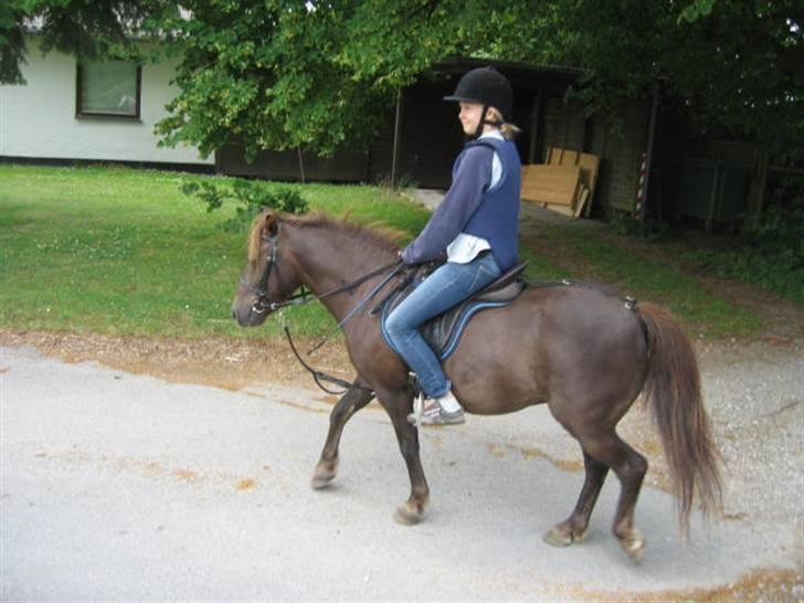 Anden særlig race Ferrari - Ferrari og jeg på vej i skoven sammen med Sophie(: <3 billede 9