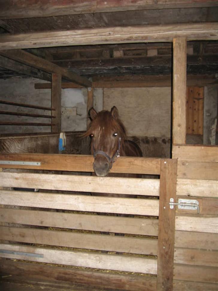 Anden særlig race Ferrari - Ferrari i boks (: <3 billede 10