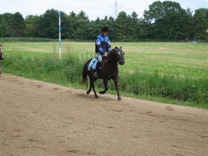 Anden særlig race Ferrari - Ferrari og jeg i vores første løb nogen sinde (: <3 billede 11
