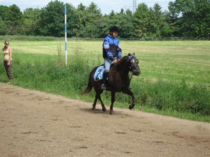 Anden særlig race Ferrari - Ferrari og jeg i løb (: billede 13