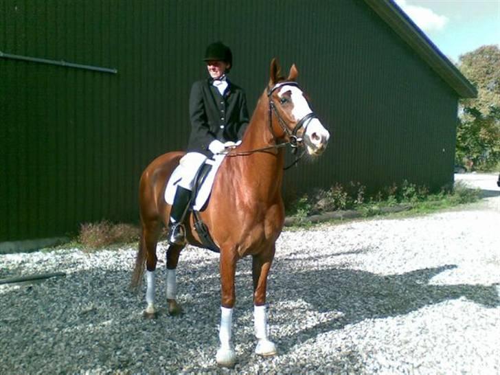 Frederiksborg Chaplin R.I.P<3 - Chaplin og mit første og eneste stævne. Vi blev nr 3 med 67%:-). billede 8