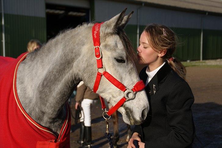 Anden særlig race Gipsy - Stævne. Vi vandt en klasse den dag:) billede 2