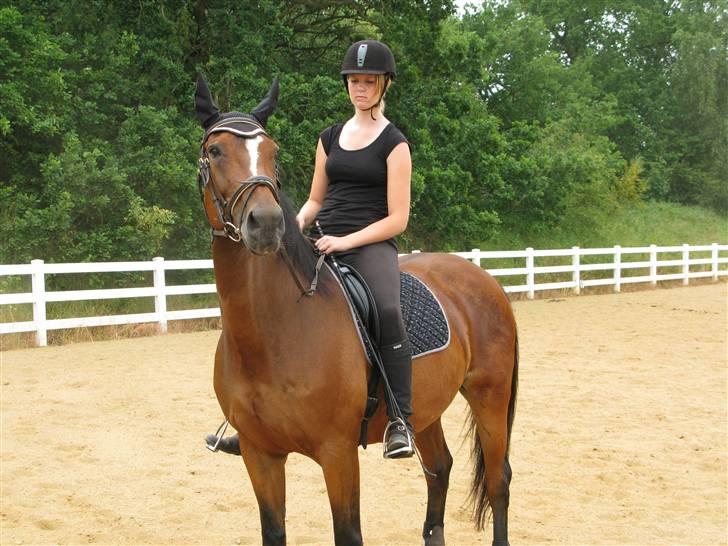 Westfaler wiktoria  billede 1