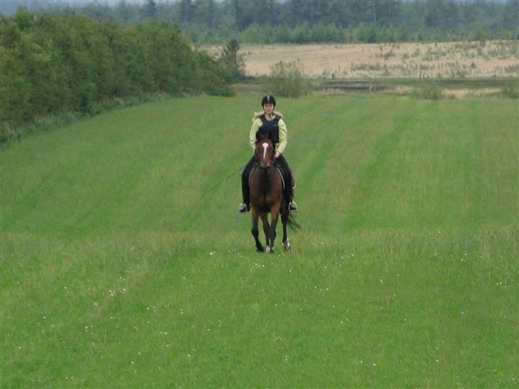 Westfaler wiktoria  billede 4