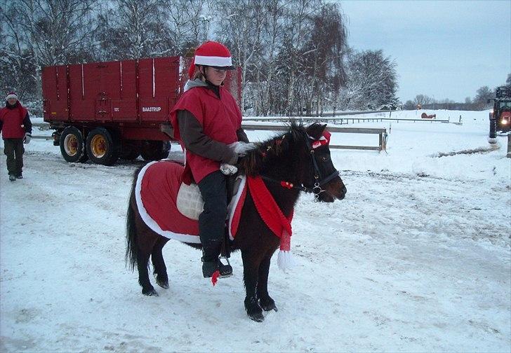 Shetlænder Sofus " My Soulmate:')"<3 - 
"Kærlighed begynder med et smil, vokser med et kys, slutter med en tåre." <3 

Foto: mor billede 12