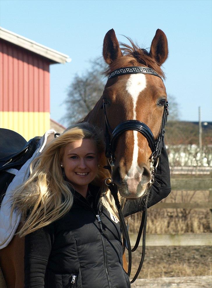 Dansk Varmblod Don Pedro - Pedro og jeg inden træning 22. marts 2011.  billede 11
