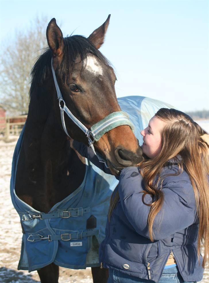 Dansk Varmblod It's A Star >Solgt< - Mig og Star.. Taget af Karins-foto d. 26/1-10  billede 11