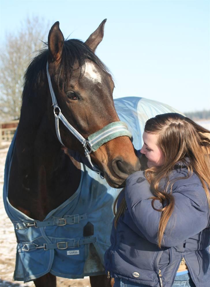 Dansk Varmblod It's A Star >Solgt< - Mig og Star.. Taget af Karins-foto d. 26/1-10  billede 12