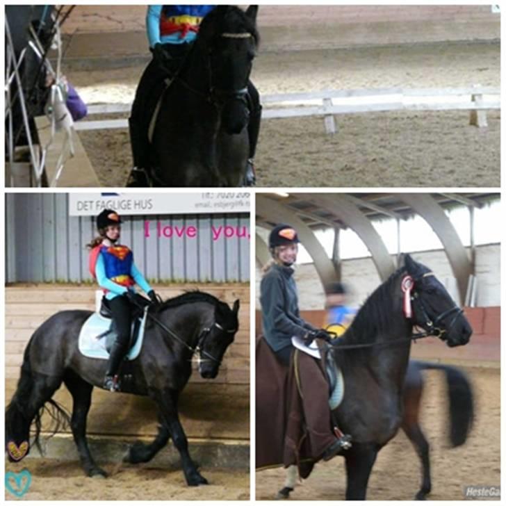 Frieser Rommert Jasper - min baby og jeg fik en første plads i en LD billede 17