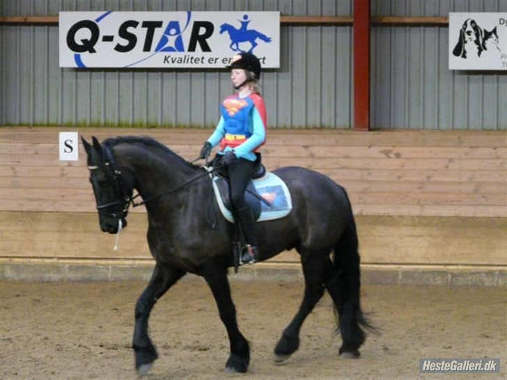 Frieser Rommert Jasper billede 18